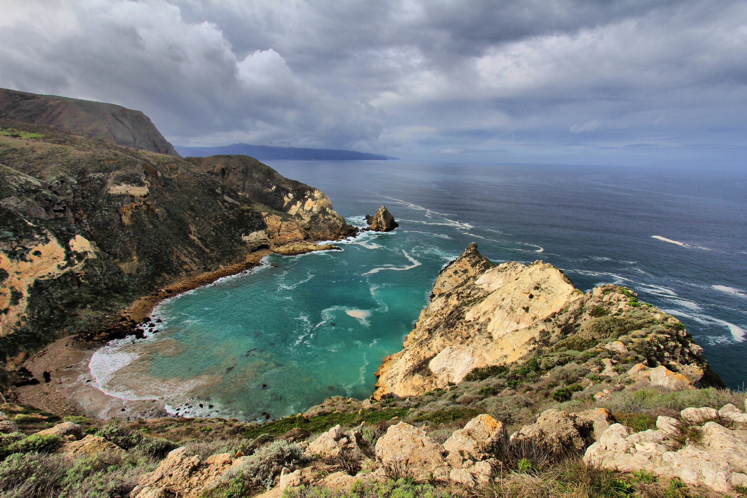 Santa_Cruz_Island,_California[1].webp